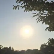 OS-MERの画像
