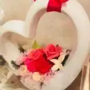 pinkの画像