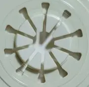 まる。の画像