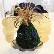 ＊あけひよ＊