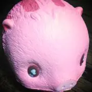たこの画像