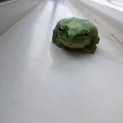 ベア