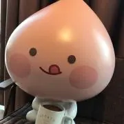 yの画像