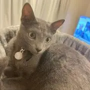 ググ