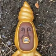 タカラコガネの画像