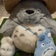 まゆさくらの画像