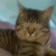 ちー
