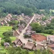まちゃまちゃの画像