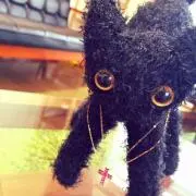 たよの画像