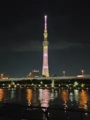 きよ