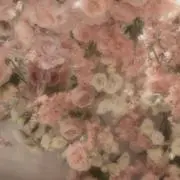 はる 8/15-18発送不可の画像