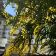 eco☆の画像