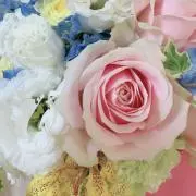 みなこの画像