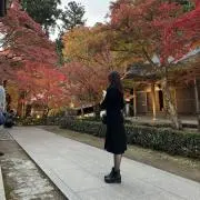 NAOkoro⭐️フォロー割⭐️の画像