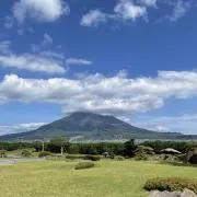 ひなすけの画像