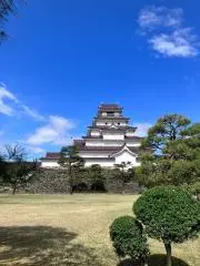 cvの画像