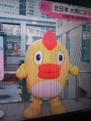 よっしー
