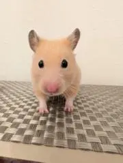 infinityの画像