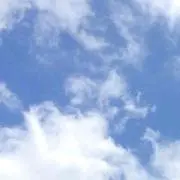 Mii⚠️プロフ必読お願いいたします。の画像