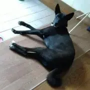 ひで