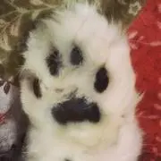Jessicaの画像