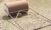 とりの画像