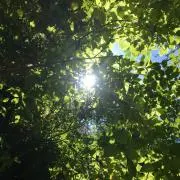ひかり☆の画像