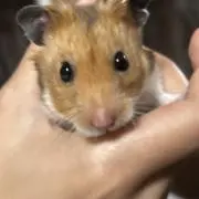 あ
