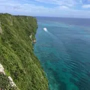 なおの画像