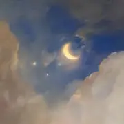☪︎の画像
