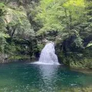 ちくわの画像