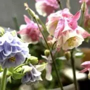 marble ＆graniteの画像