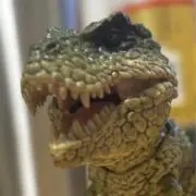 ゴリの画像