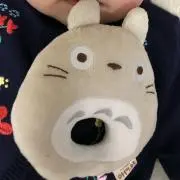 tochanの画像