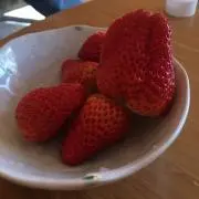 ♡プロフ確認お願いします　イチゴ♡の画像