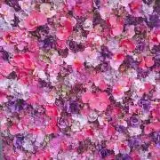 FUWARI(プロフィール必読)の画像