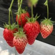ちい☆お気軽にコメントどうぞ(^ ^)