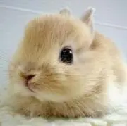りりちよ
