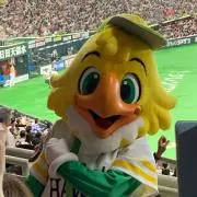 くろねこの画像