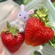 うさぎꪔ̤̮ 断捨離中◔̯◔の画像