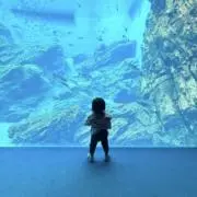 ちゃん