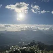 きききの画像