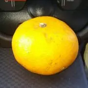 youmikan