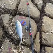 ひらまさ