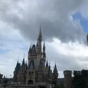 ととろの画像