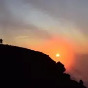 タツオ