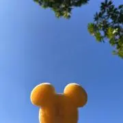 i (購入の際はコメント必須)