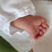 えりぼーの画像