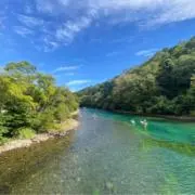 アクビ/匿名発送・即購入OK・断捨離中の画像