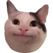 ネコの画像
